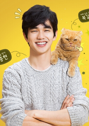 Imaginary Cat