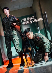 Military Prosecutor Doberman