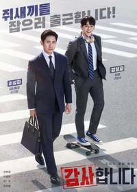 The Auditors